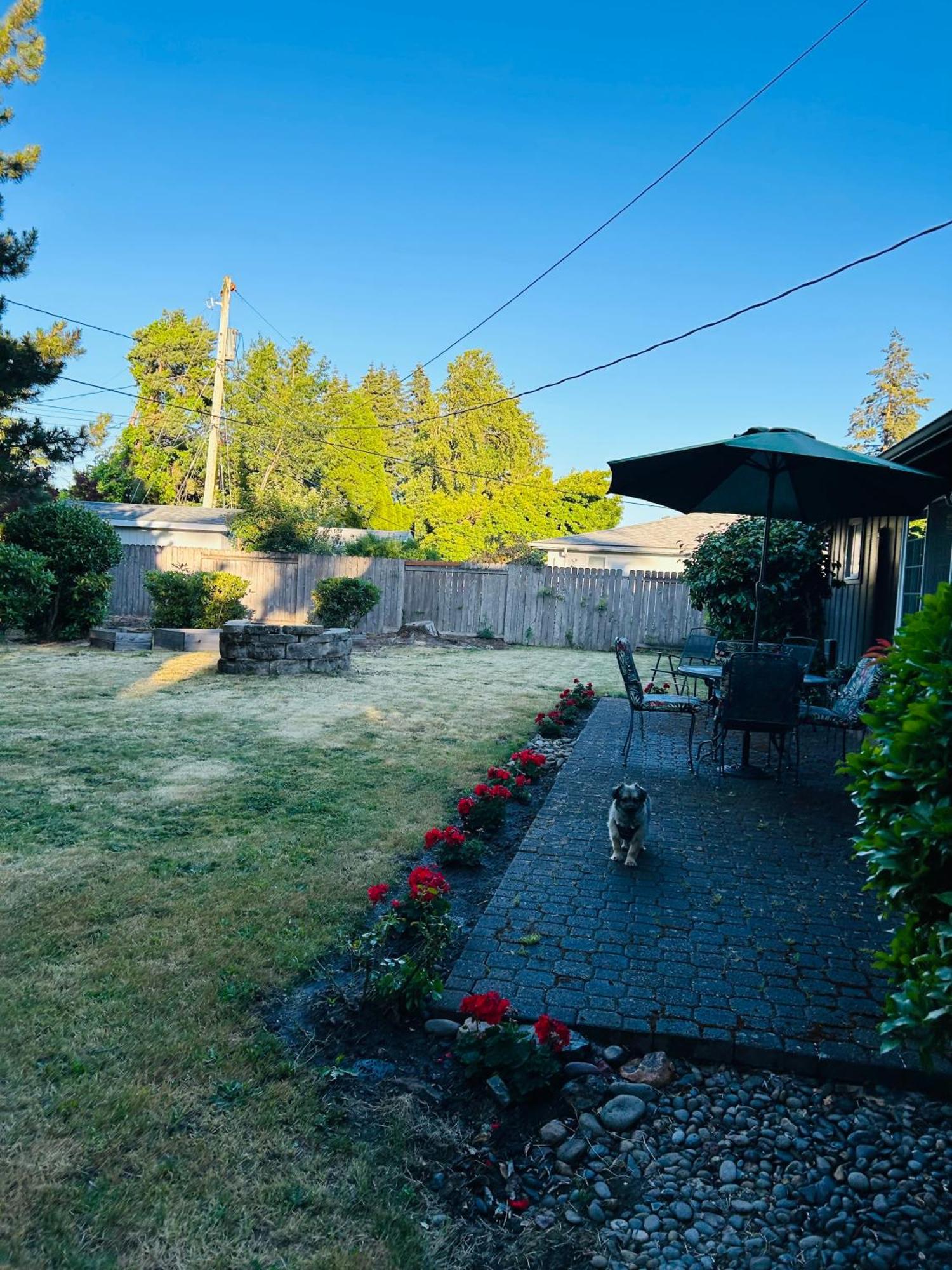 Emerald City 3 Bedroom 1 Bath Home Eugene Bagian luar foto
